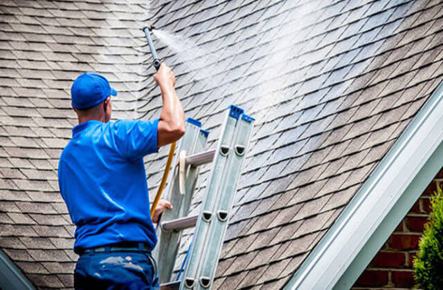 milpitas roof cleaning